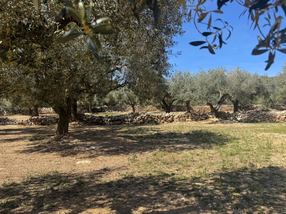 Finca en San Rafael Del Rio, Castellon - foto 3